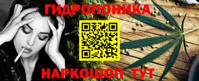 гашик Бийск